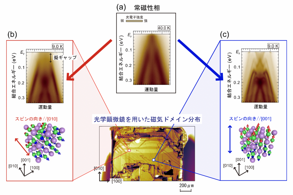 fig1