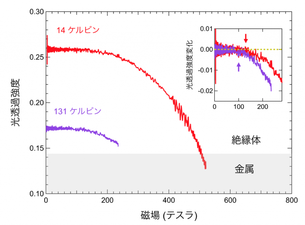 図１．V1-xWxO2 (x = 0.06)薄膜（膜厚15ナノメートル、TiO2基板）のレーザー波長1.977 μmでの光透過強度の磁場依存性