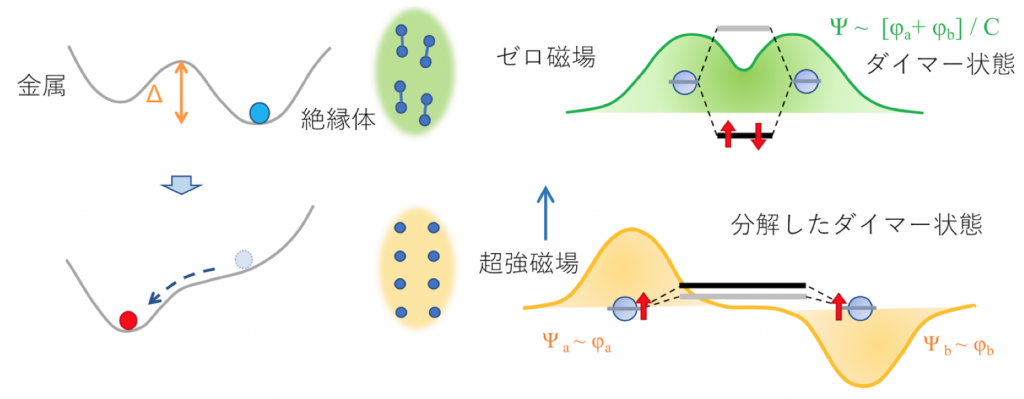 図３．観測された磁場による金属化を説明する分子軌道崩壊の模式図。