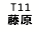 eLXg {bNX: T11 