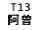 eLXg {bNX: T13 ]