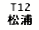eLXg {bNX: T12 Y