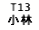 eLXg {bNX: T13 