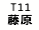 eLXg {bNX: T11 