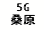eLXg {bNX: 5G K