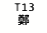 eLXg {bNX: T13A