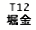 eLXg {bNX: T12 x