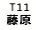 eLXg {bNX: T11 