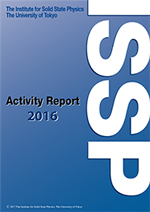 Activity Report 2016