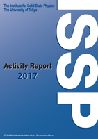 Activity Report 2017