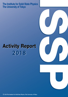 Activity Report 2018