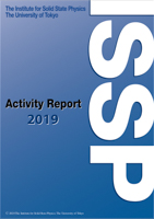 Activity Report 2019