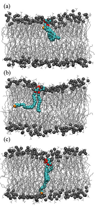Host lab: Noguchi Group-1