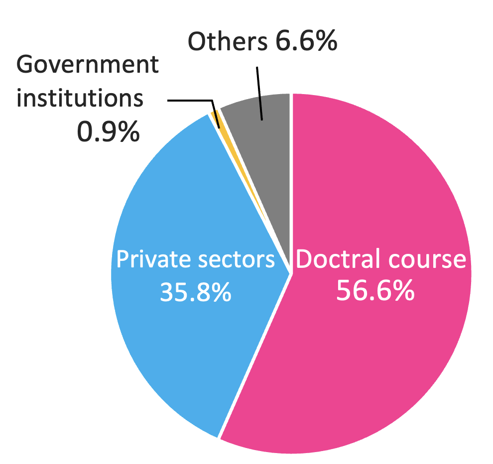 Career paths for master graduates