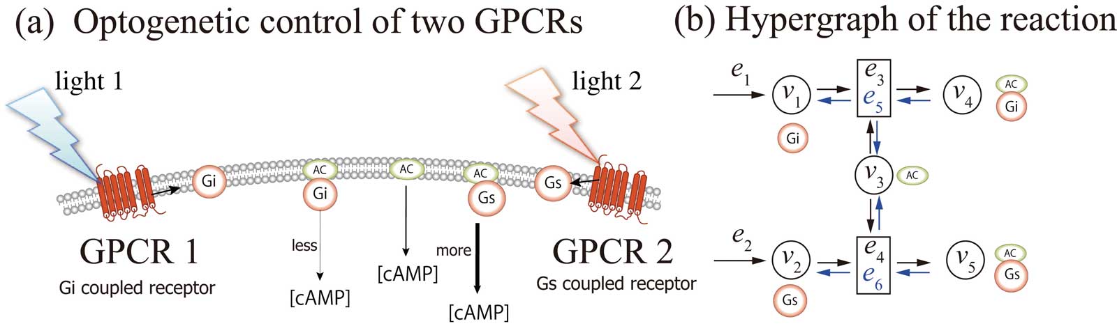 fig2