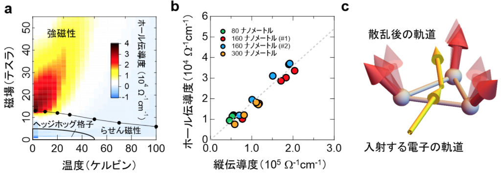 fig1