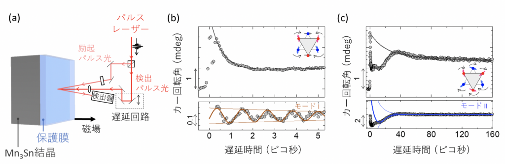 fig2