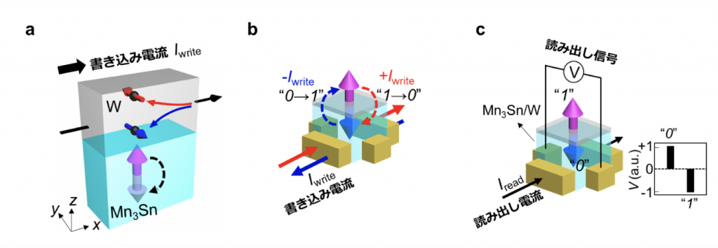 fig2