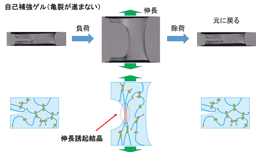 fig2