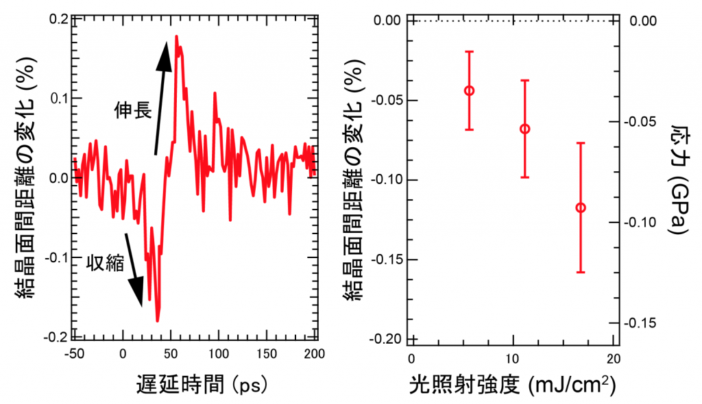 fig2