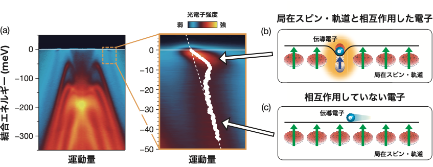 fig1