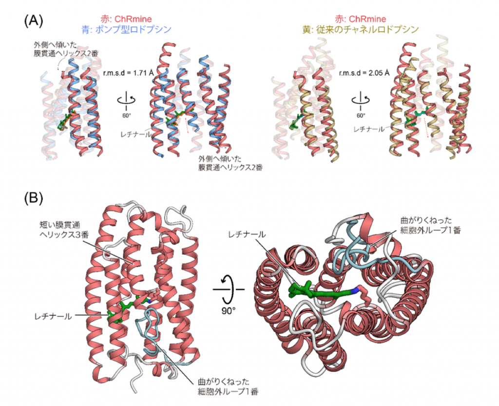 fig3