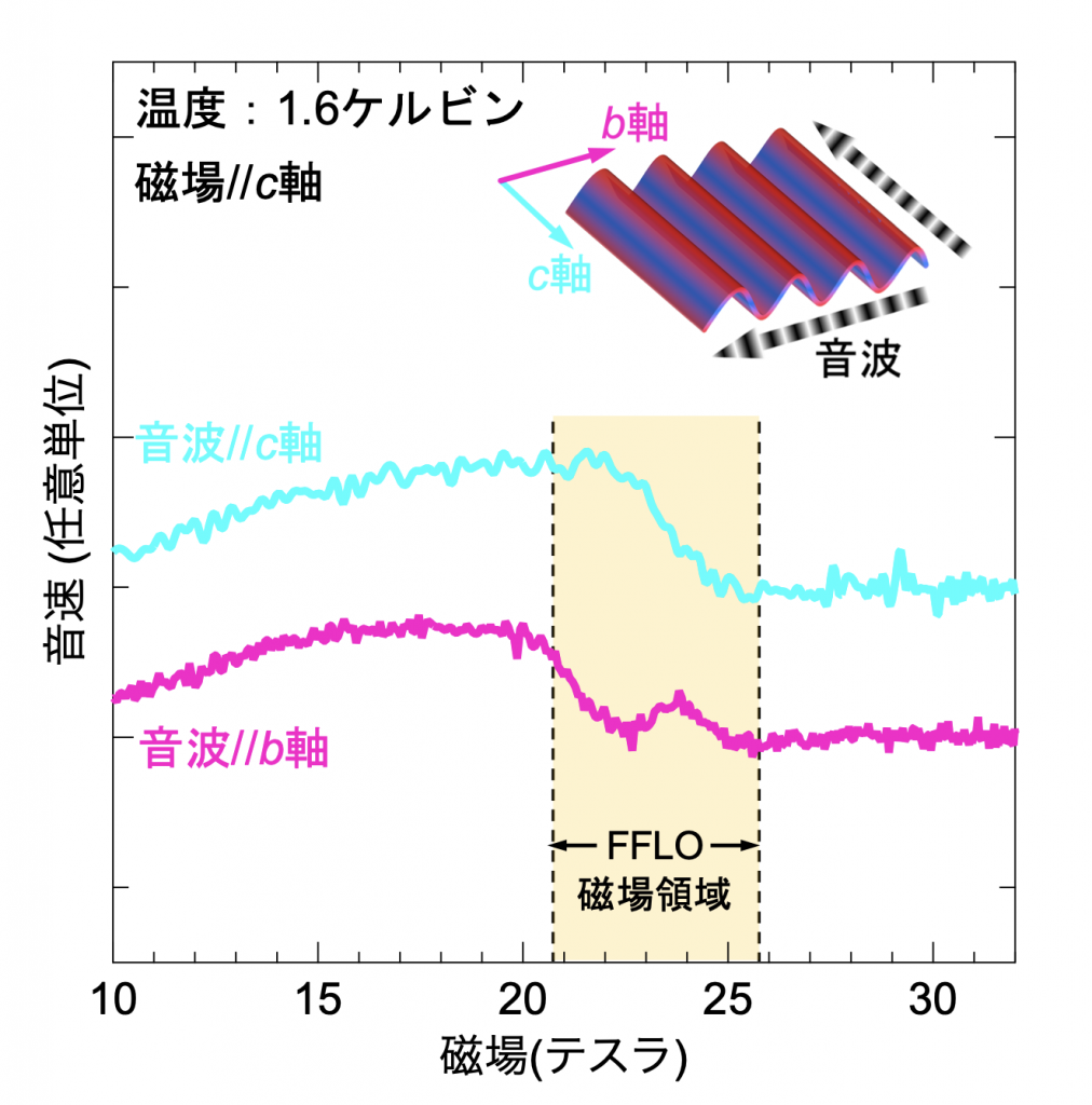 fig2