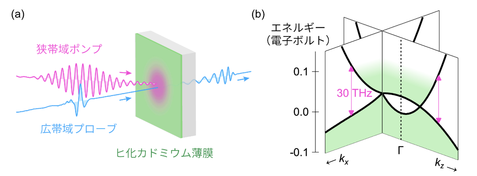 fig2