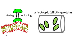 Thumbnail Image 1