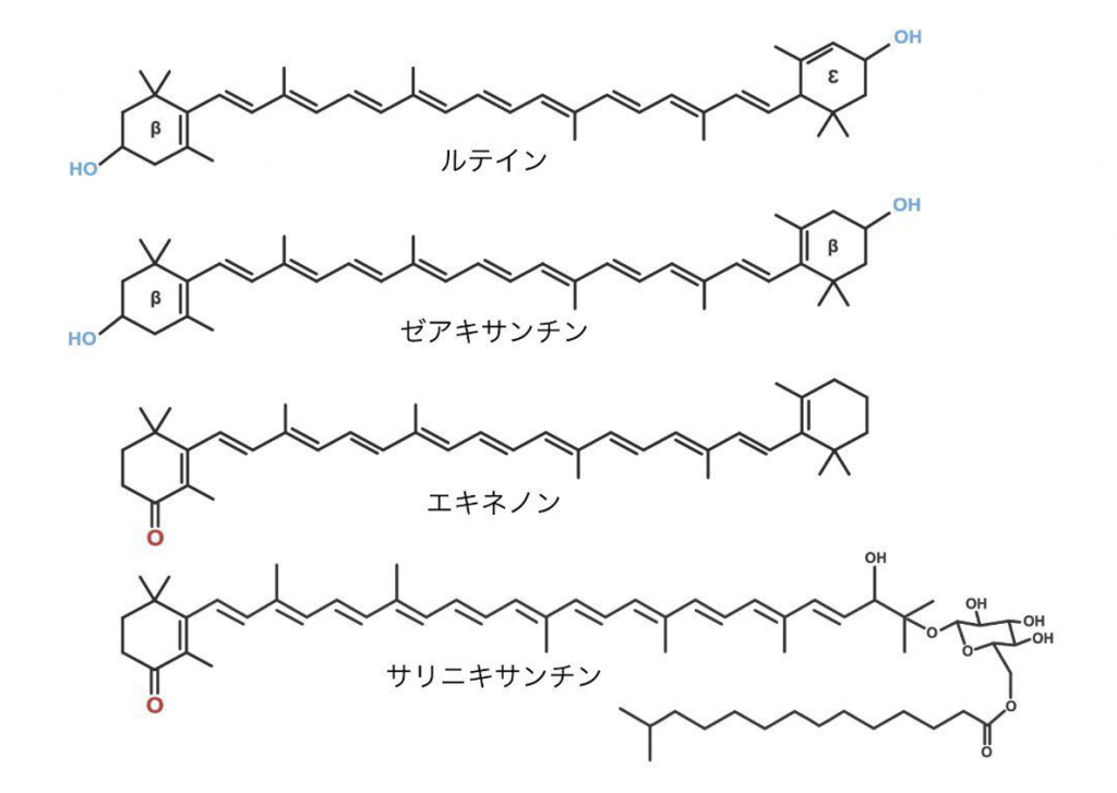 fig1