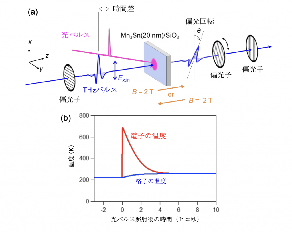 fig2