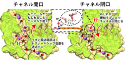 Thumbnail Image 1