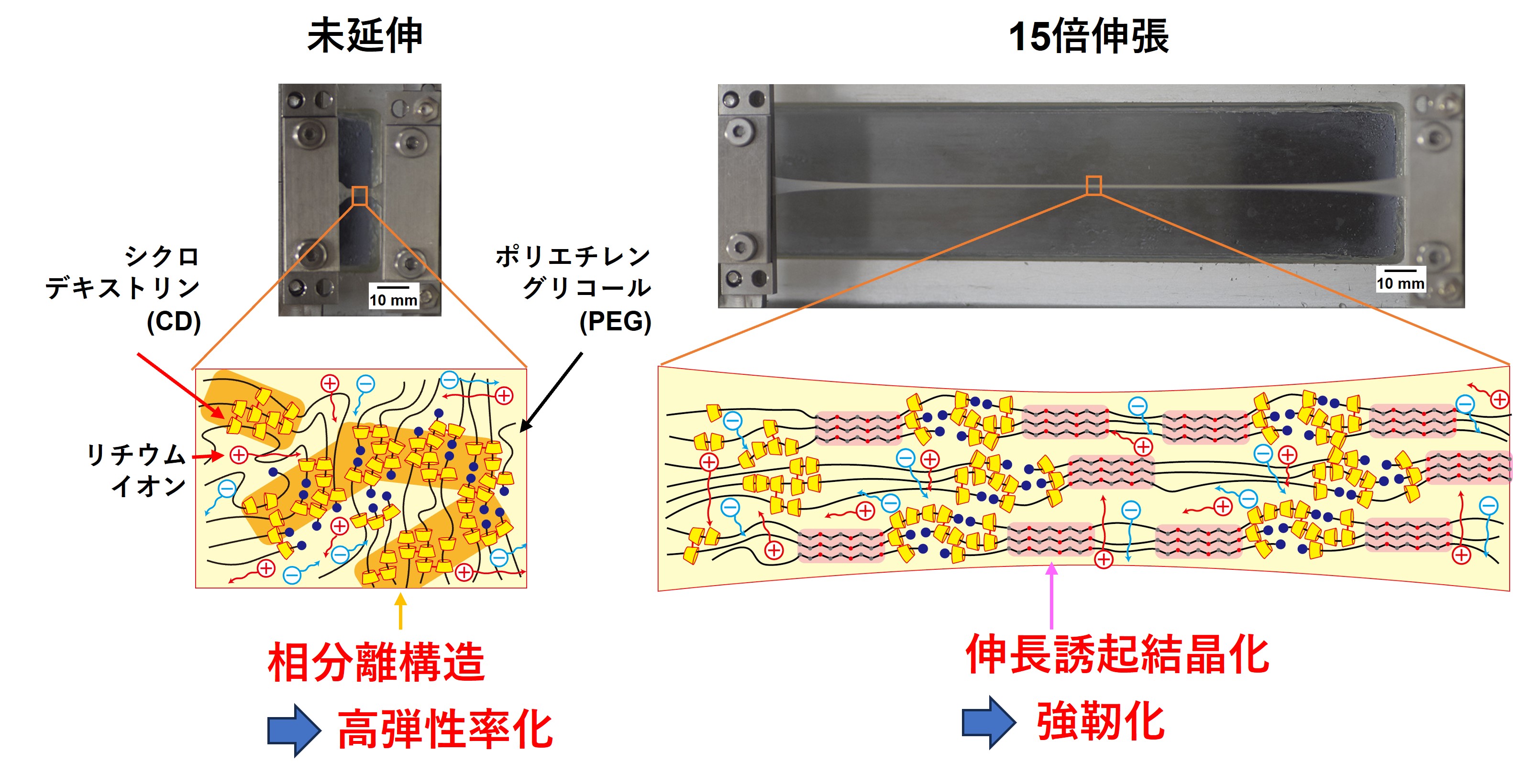 ゲルを伸ばした際の内部構造の変化