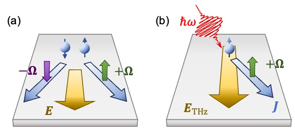 fig1