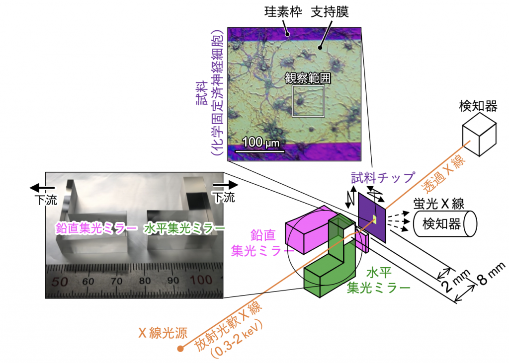 超精密小型集光ミラーを用いた集光ミラー光学系の模式図