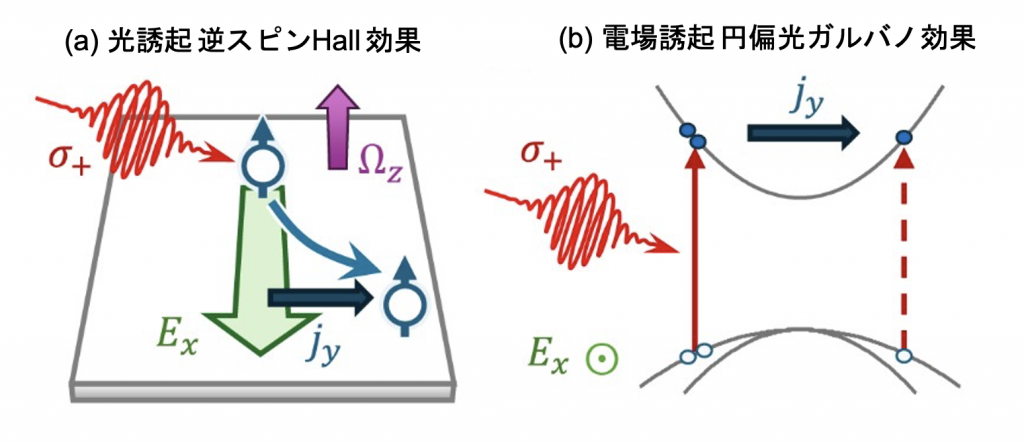 fig1