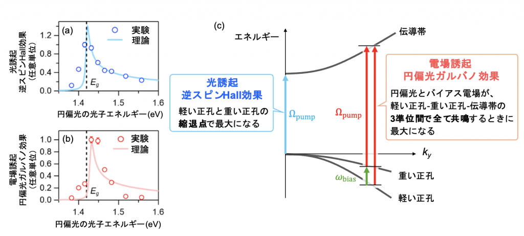 fig3