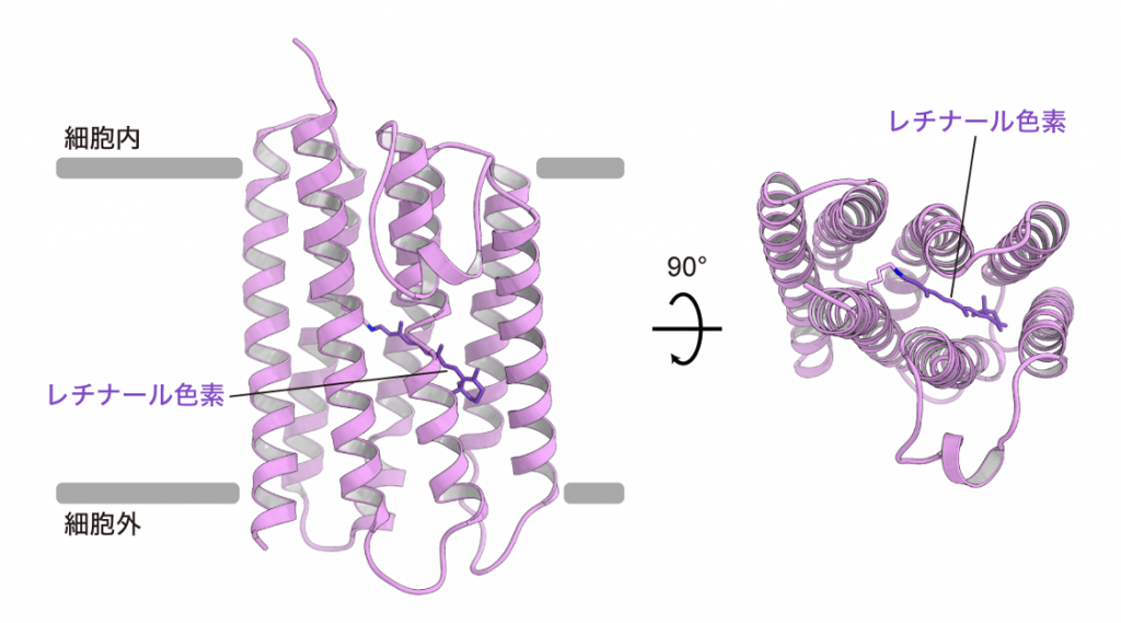 fig3