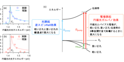 Thumbnail Image 1