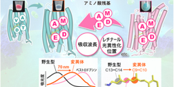 Thumbnail Image 1