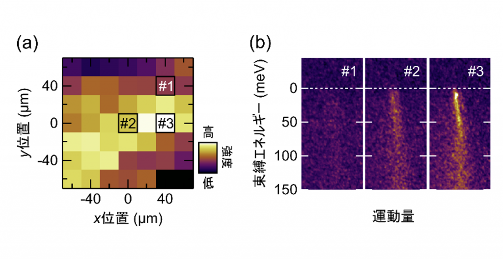 fig1