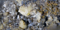 Thumbnail Image 1