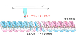 Thumbnail Image 1