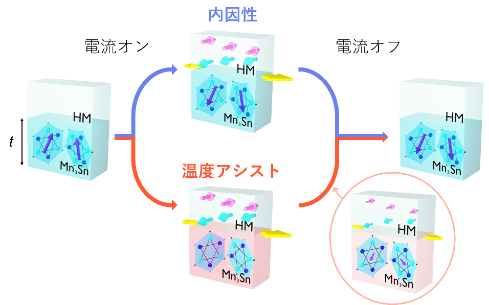 fig1