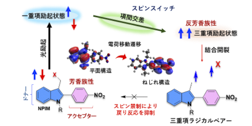 Thumbnail Image 1