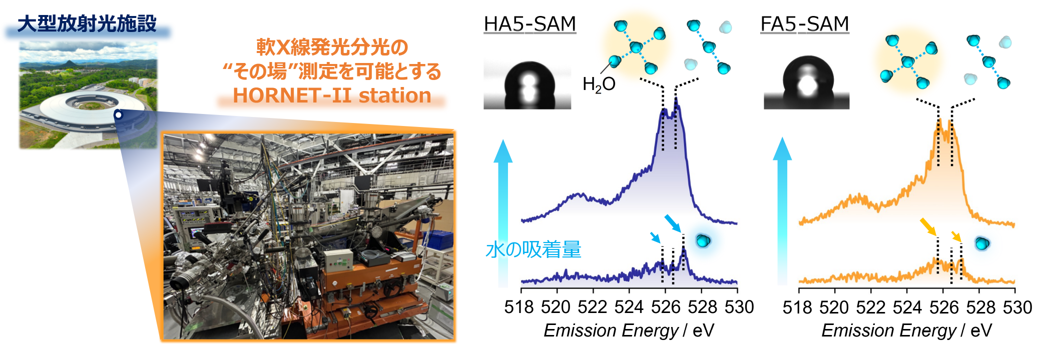 sam-hydrophobic-hydration-fig1