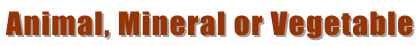 Animal, Mineral or Vegetable