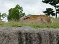 DSC00013.JPG