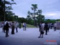 DSC03313.JPG