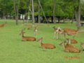 DSC00029.JPG